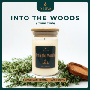 INTO THE WOODS | Trầm tĩnh