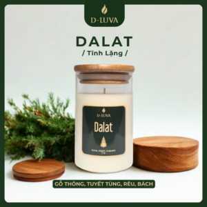 DALAT | Tĩnh lặng